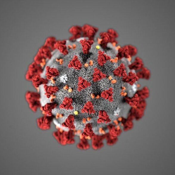 Virus